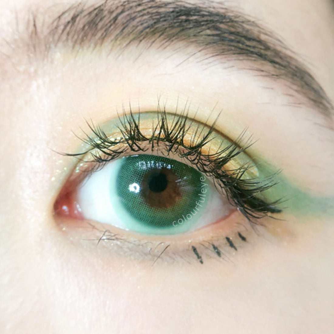 Hidrocor Verde Colored Contact Lenses-4