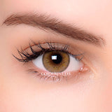 Athena Honey Brown Colored Contact Lenses-1