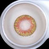 Colourfuleye Honey Natural Colored Contact Lenses-6